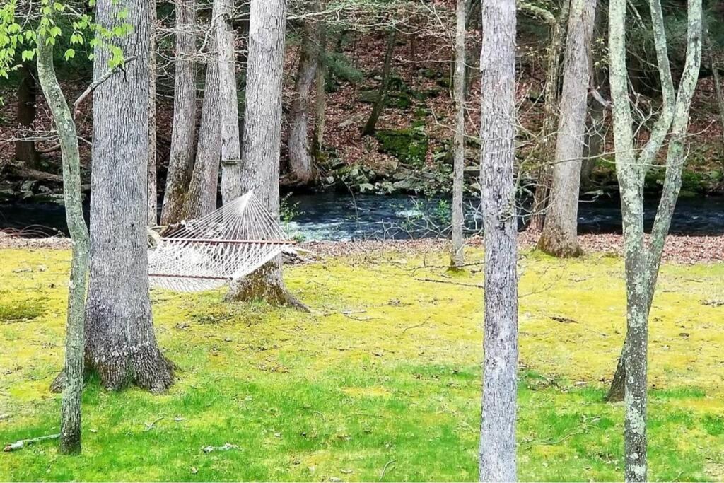 *Amenity-Filled Waterfront Oasis @Saw Creek Estates Near Waterfalls And Hiking* 东斯特劳兹堡 外观 照片