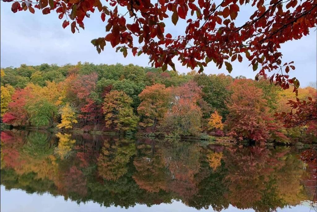 *Amenity-Filled Waterfront Oasis @Saw Creek Estates Near Waterfalls And Hiking* 东斯特劳兹堡 外观 照片
